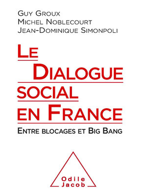 cover image of Le Dialogue social en France